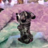 Weenie dog multi dapple guy