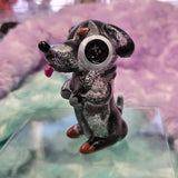 Weenie dog multi dapple guy