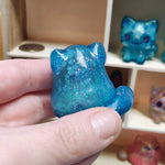 Mini chub cats