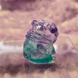 Green and purple multi color pugs